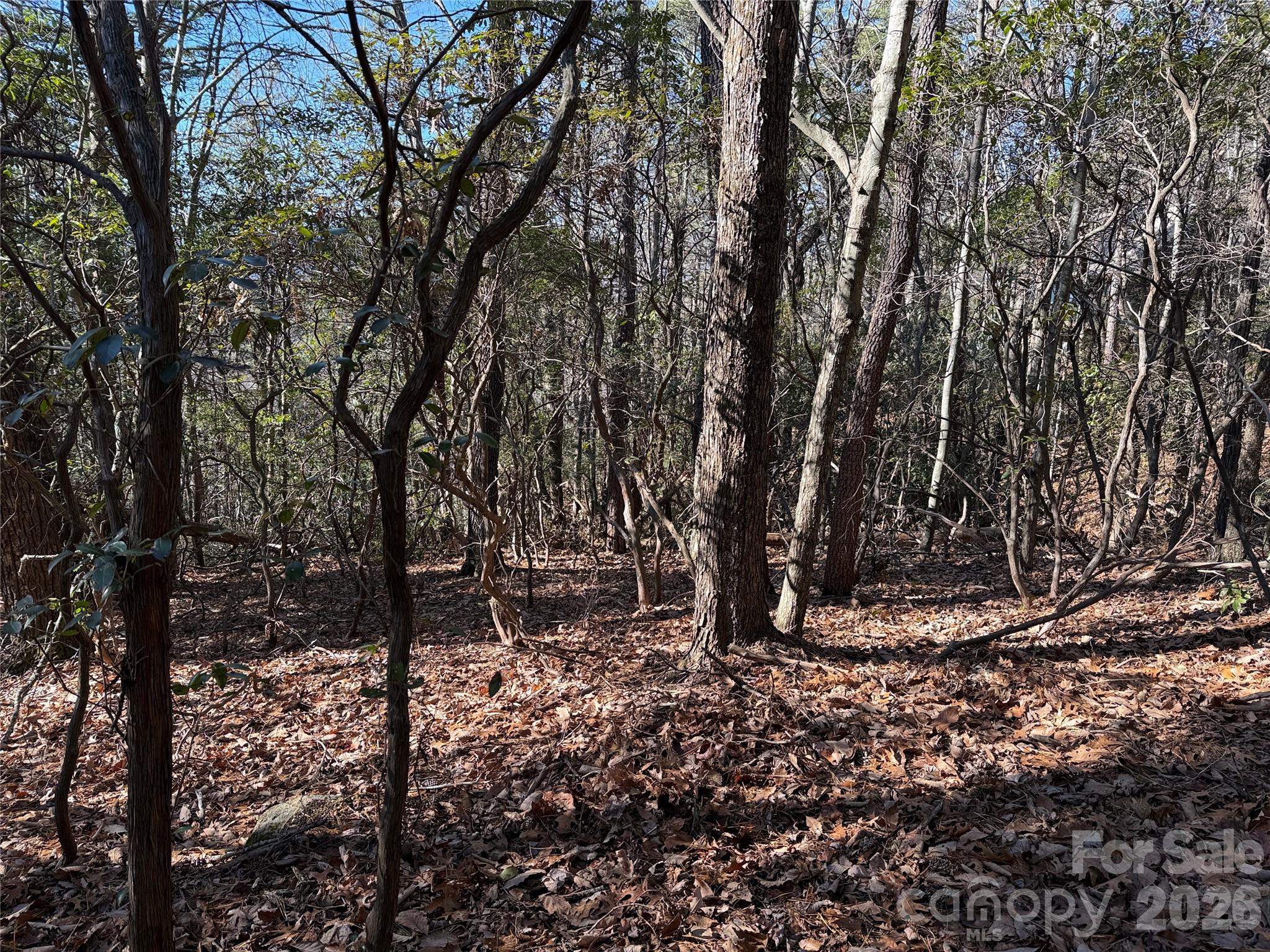 Tbd Bobcat Mountain Road Purlear NC 28665