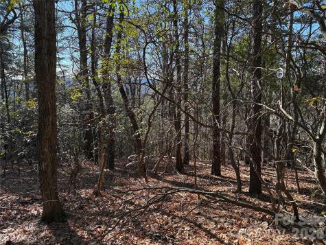 Tbd Bobcat Mountain Road Purlear NC 28665