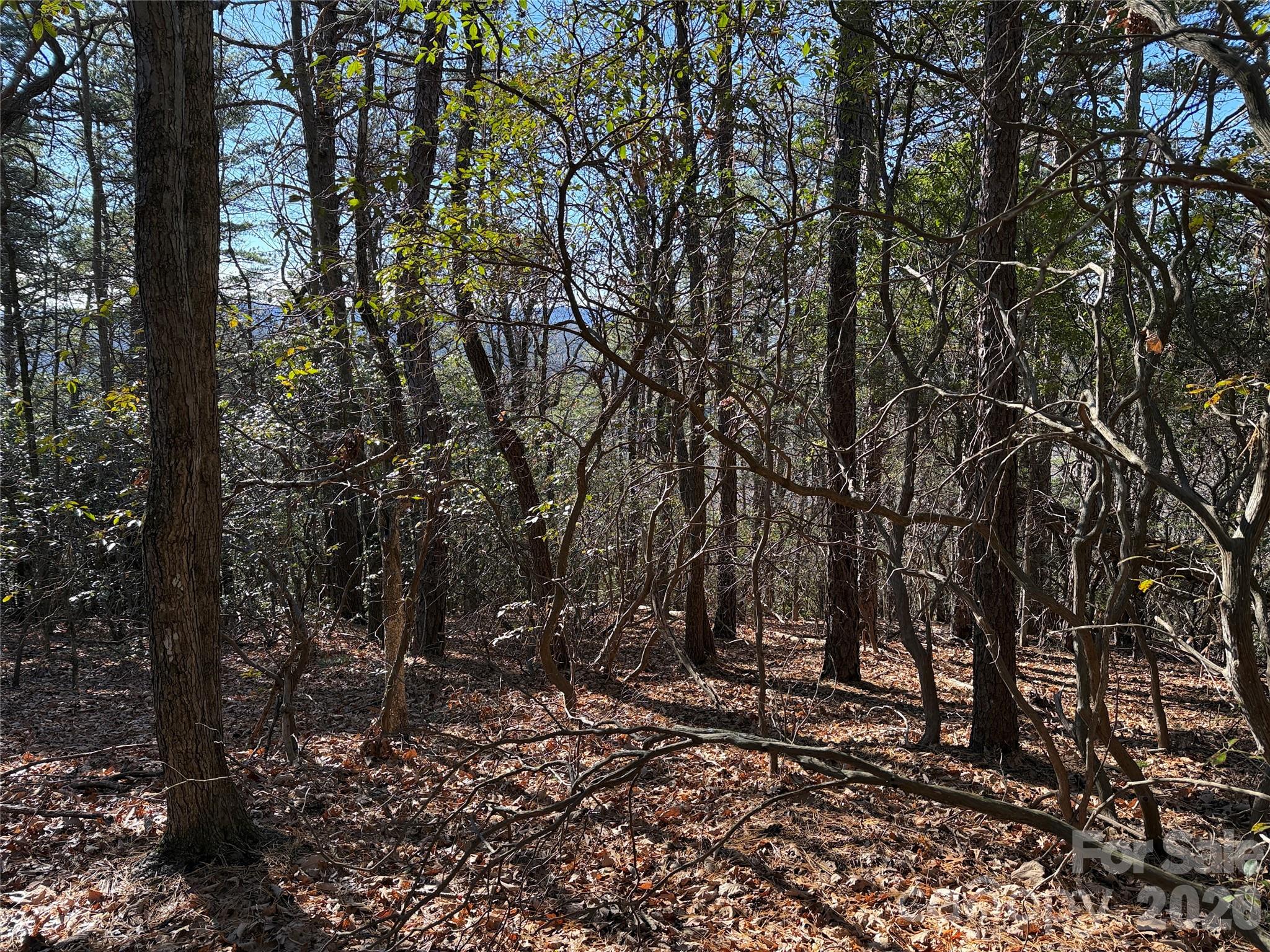 Tbd Bobcat Mountain Road Purlear NC 28665