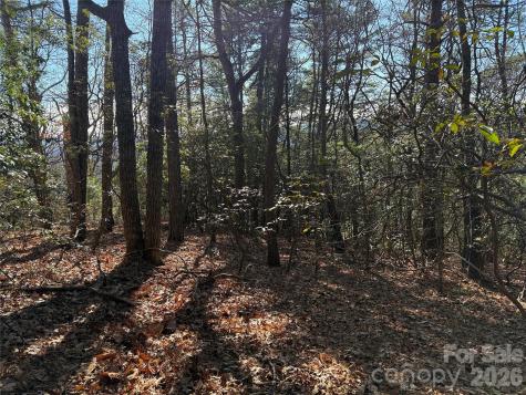 Tbd Bobcat Mountain Road Purlear NC 28665