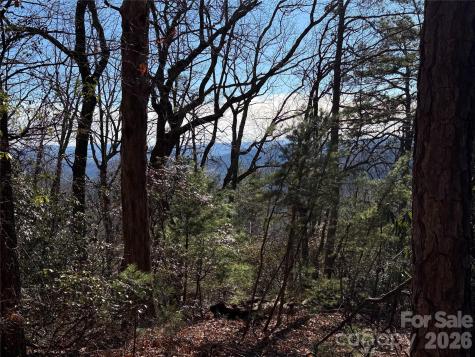 Tbd Bobcat Mountain Road Purlear NC 28665