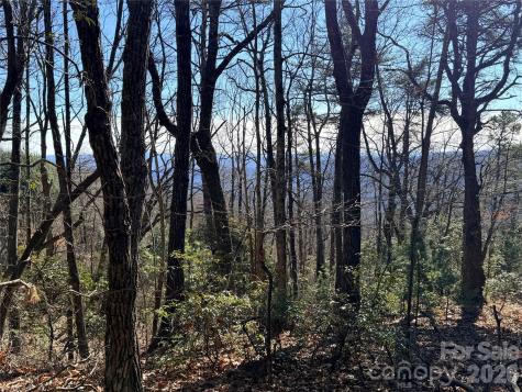 Tbd Bobcat Mountain Road Purlear NC 28665