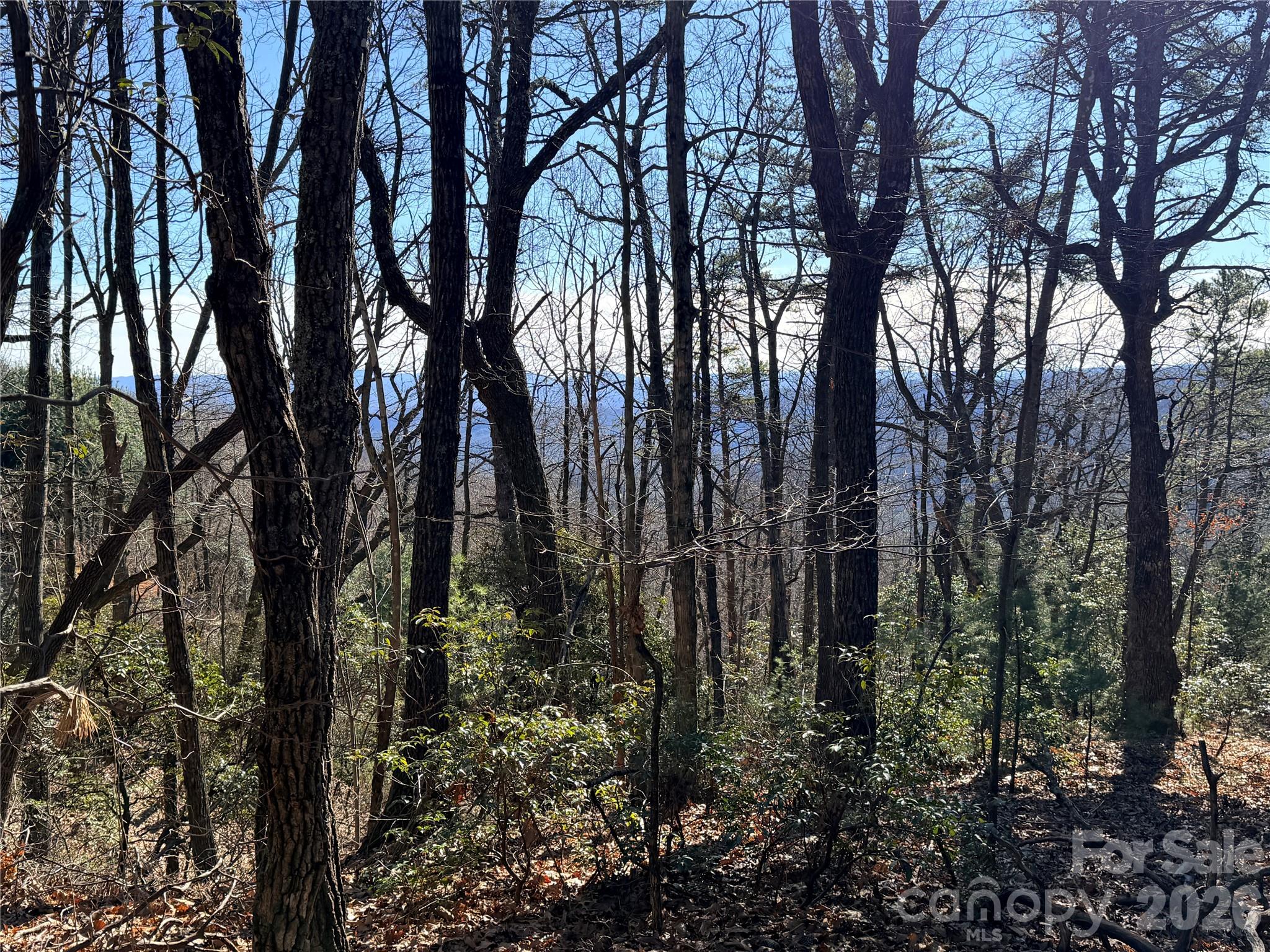 Tbd Bobcat Mountain Road Purlear NC 28665
