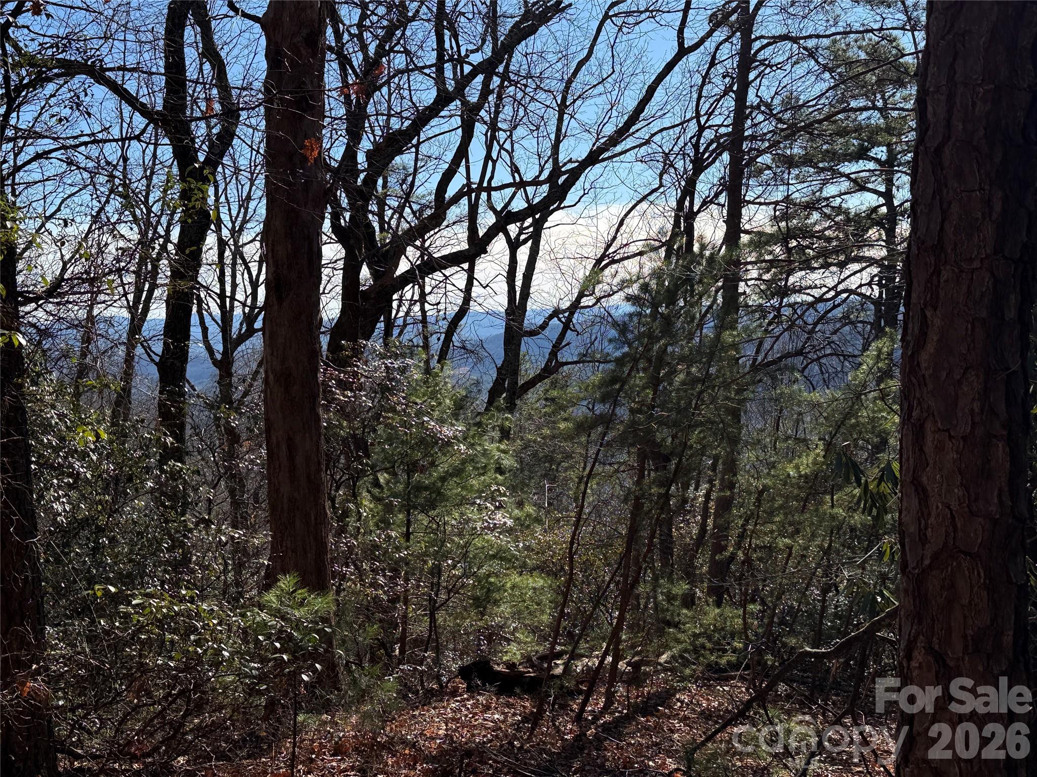 Tbd Bobcat Mountain Road Purlear NC 28665