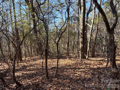 Tbd Bobcat Mountain Road Purlear NC 28665