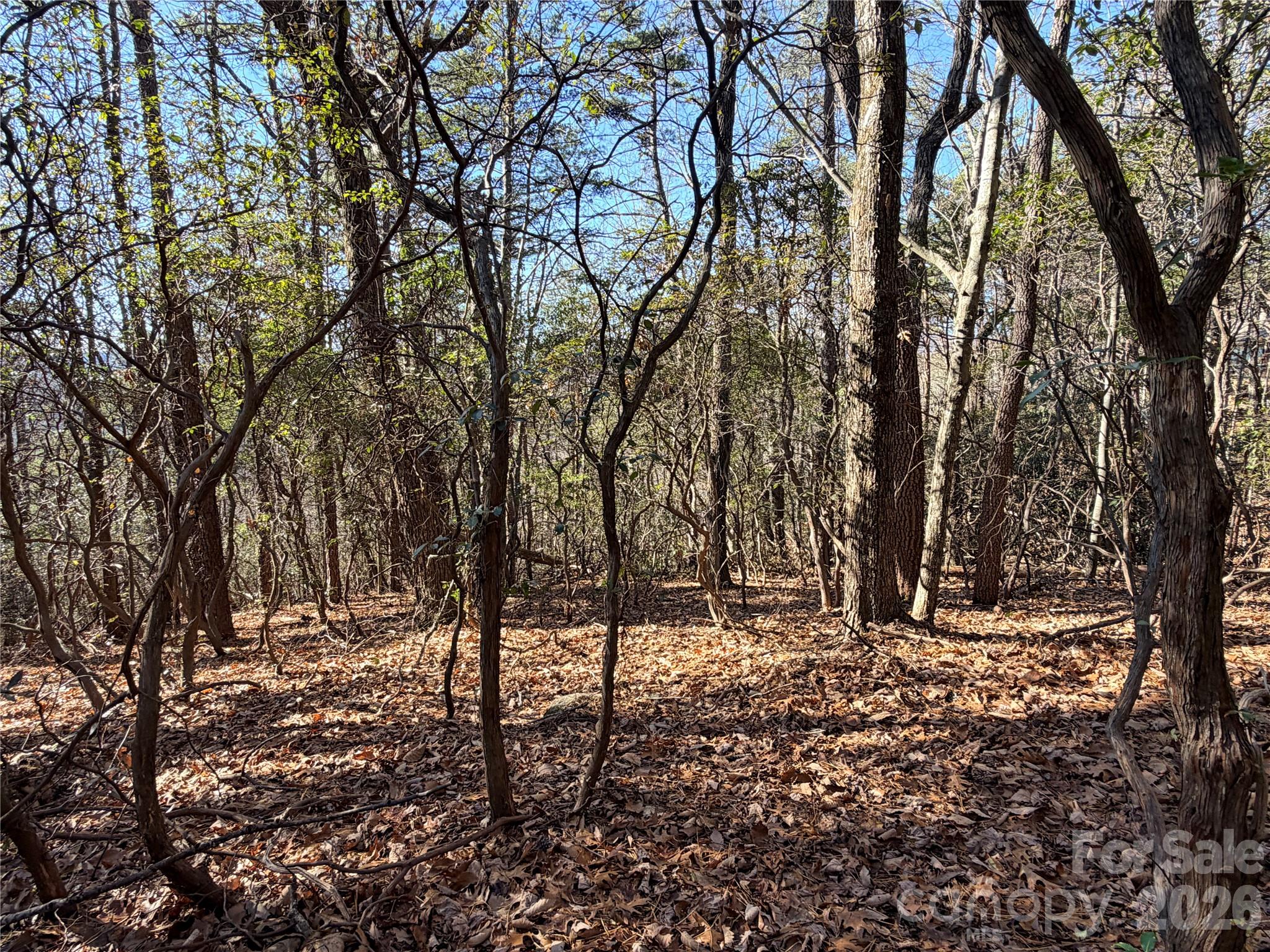 Tbd Bobcat Mountain Road Purlear NC 28665