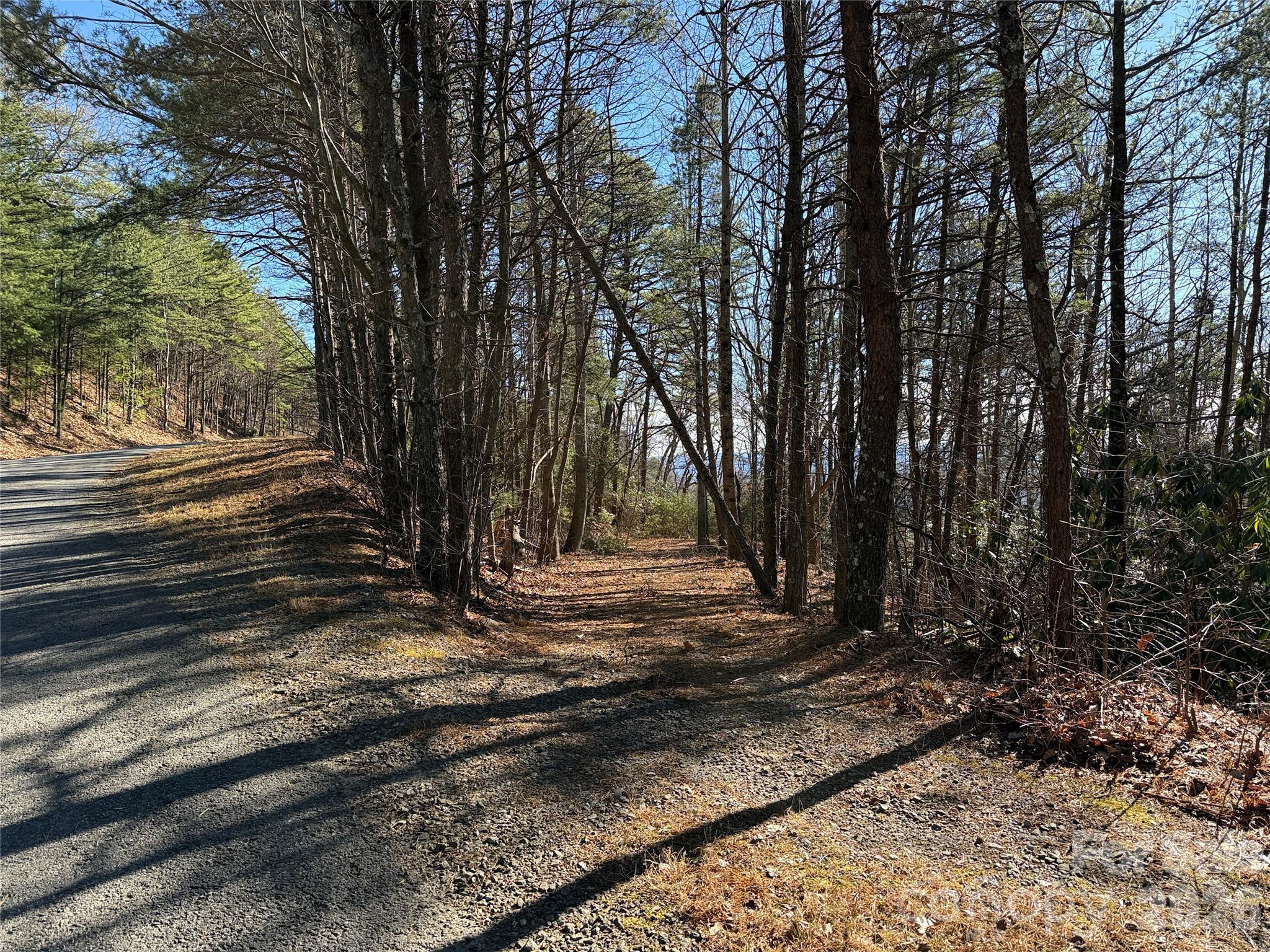 Tbd Bobcat Mountain Road Purlear NC 28665
