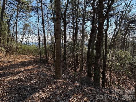 Tbd Bobcat Mountain Road Purlear NC 28665