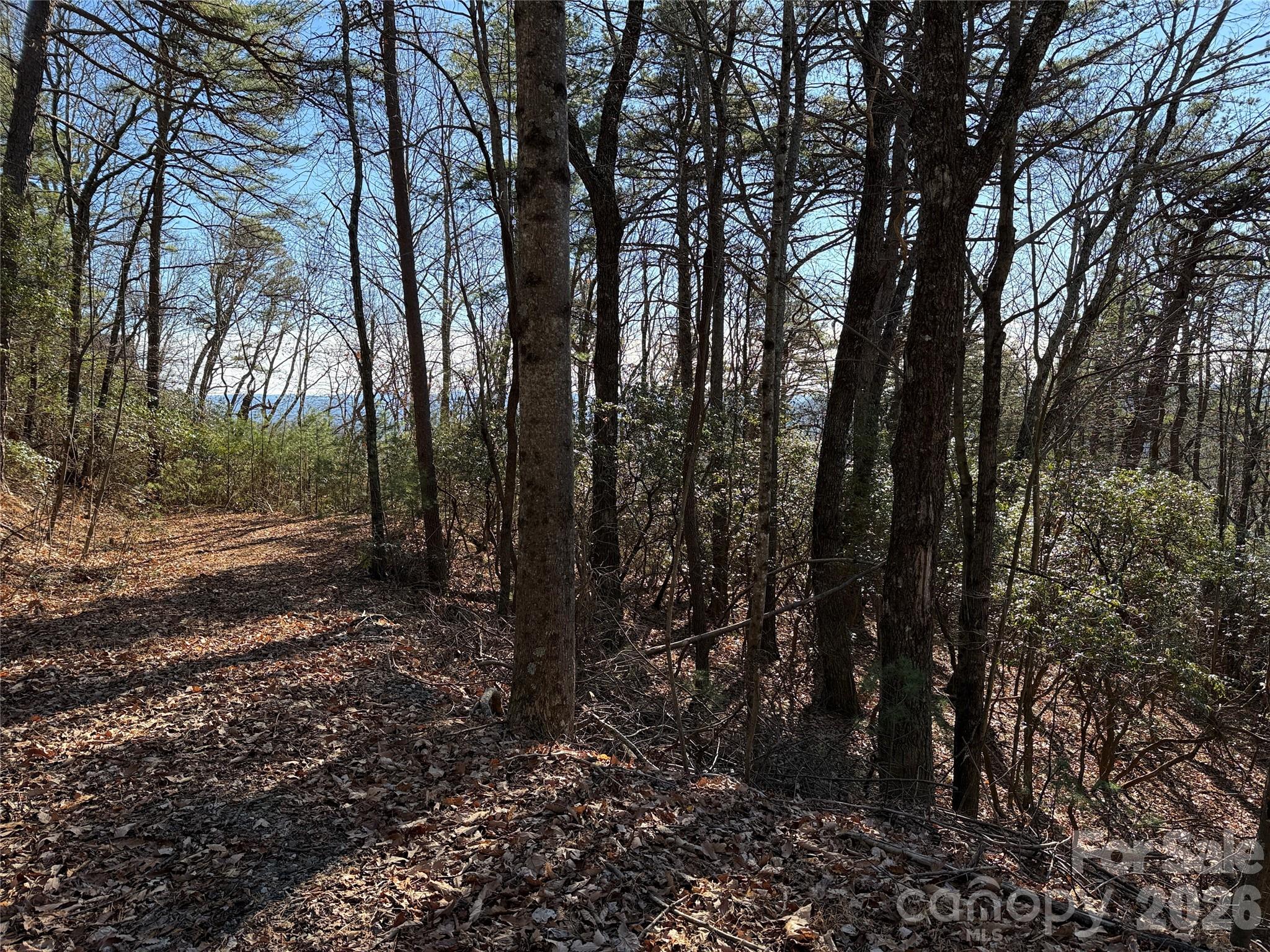 Tbd Bobcat Mountain Road Purlear NC 28665