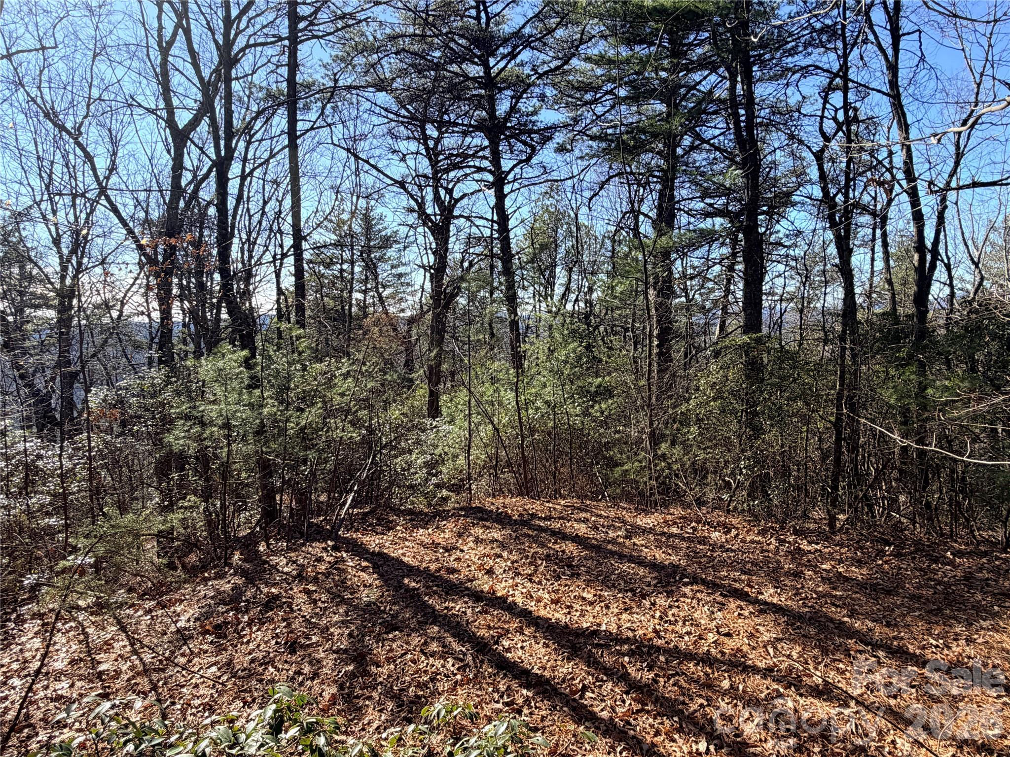 Tbd Bobcat Mountain Road Purlear NC 28665