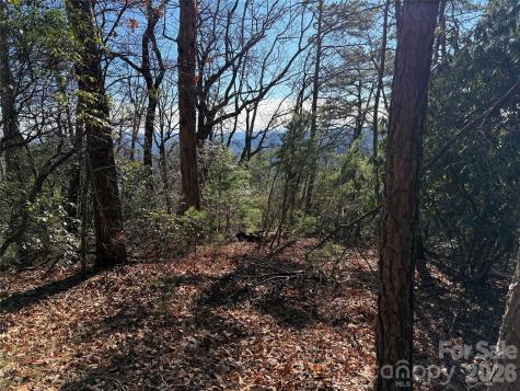 Tbd Bobcat Mountain Road Purlear NC 28665