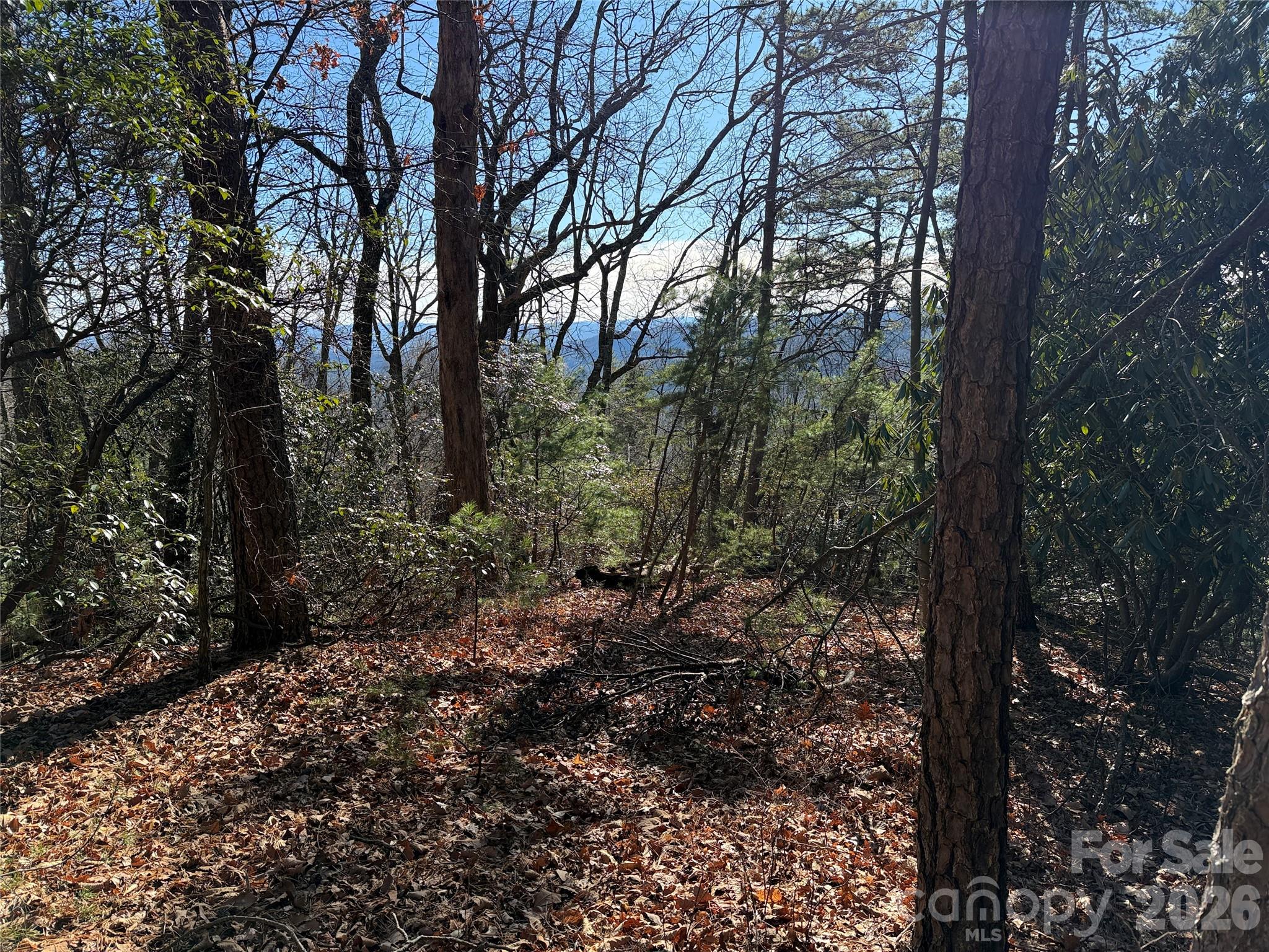 Tbd Bobcat Mountain Road Purlear NC 28665