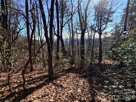 Tbd Bobcat Mountain Road Purlear NC 28665