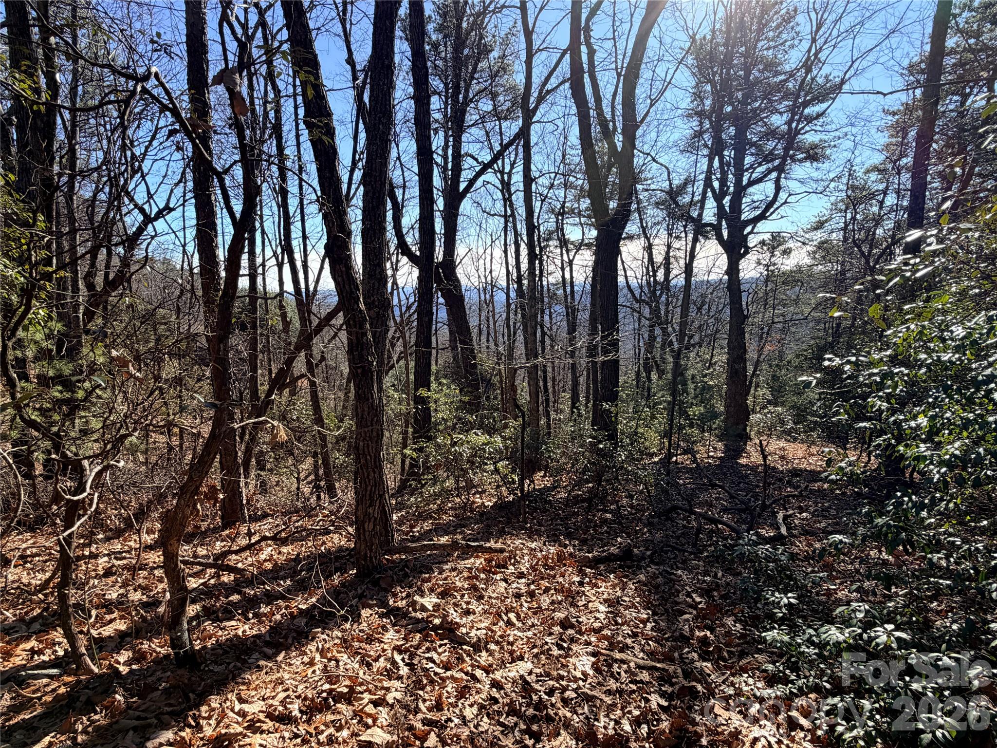 Tbd Bobcat Mountain Road Purlear NC 28665