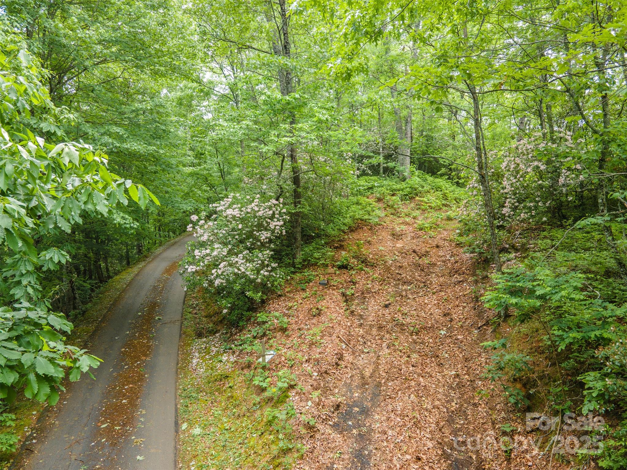Lot 127 Stoneway Drive Tuckasegee NC 28783
