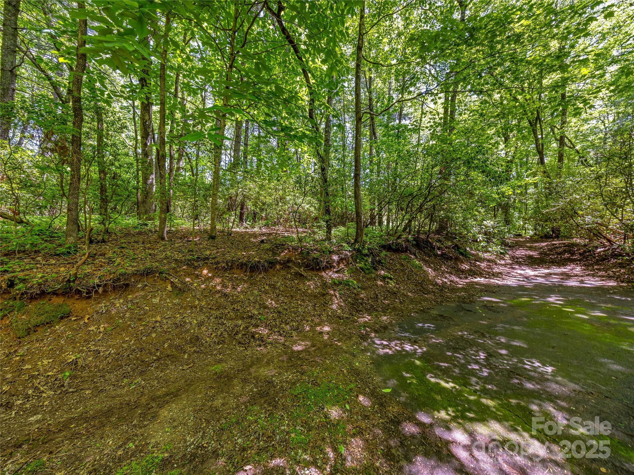 J 33 Cherokee Point Lake Toxaway NC 28747