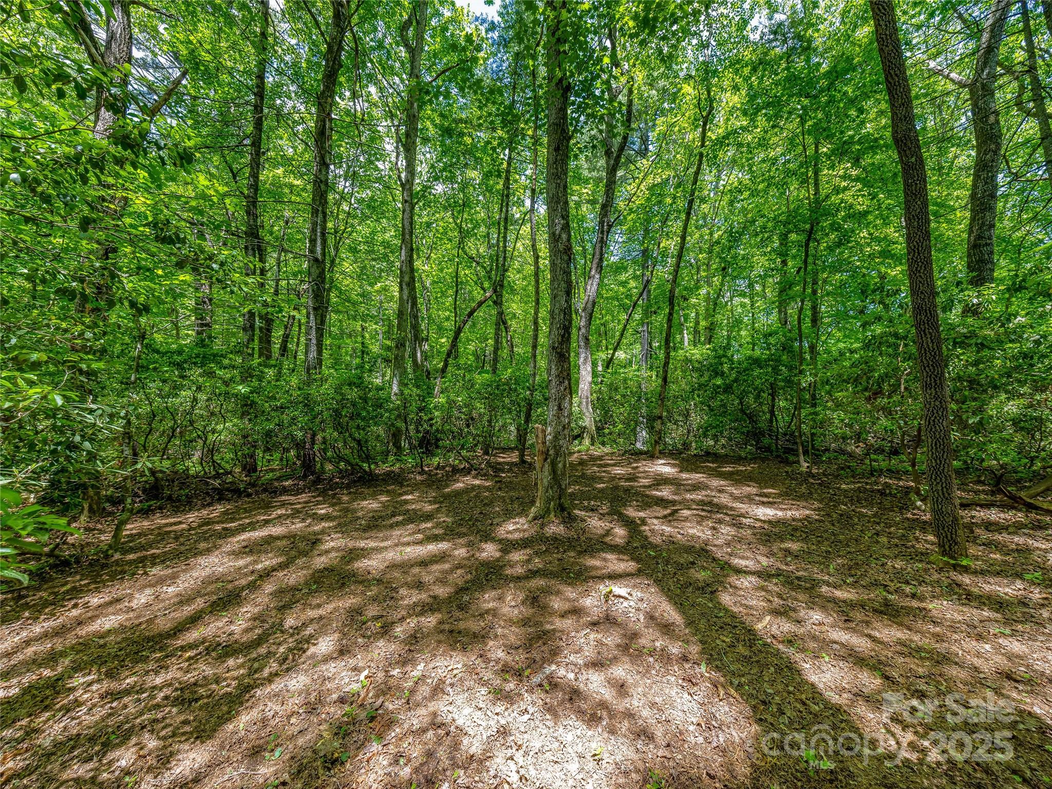 J 33 Cherokee Point Lake Toxaway NC 28747