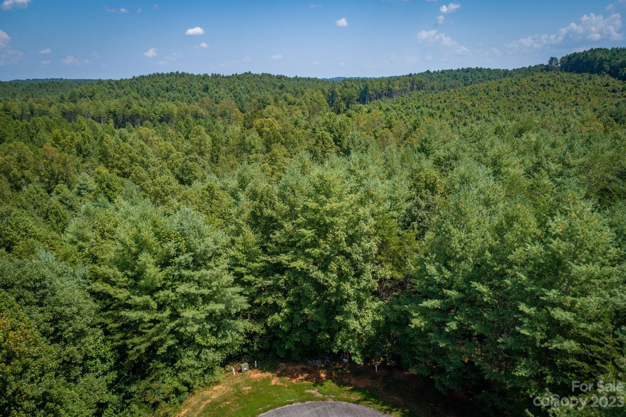 1119 Greene Court Morganton NC 28655