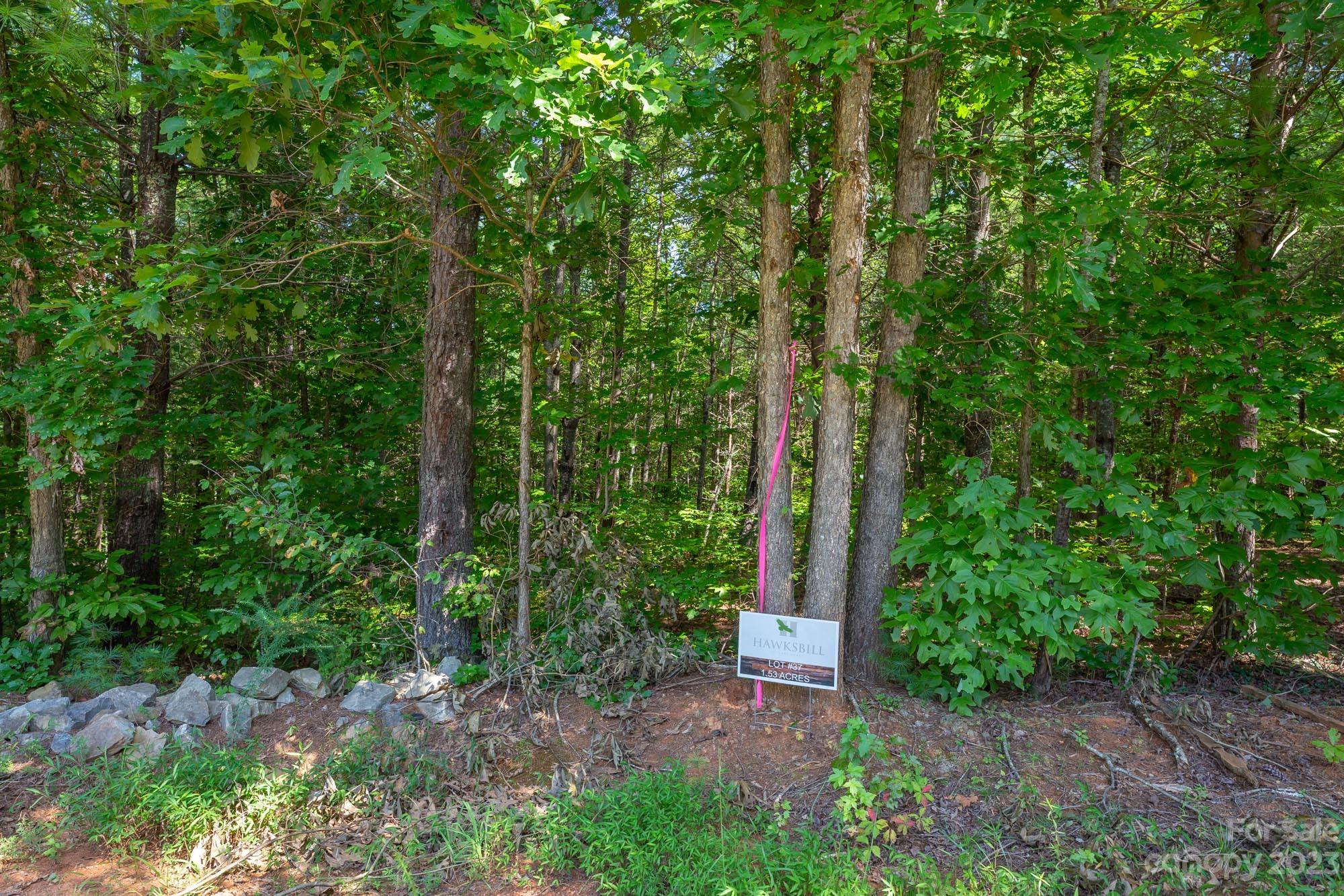 1119 Greene Court Morganton NC 28655