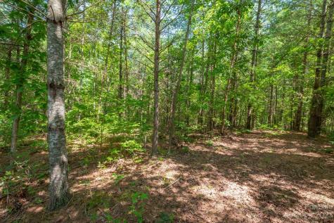 1119 Greene Court Morganton NC 28655