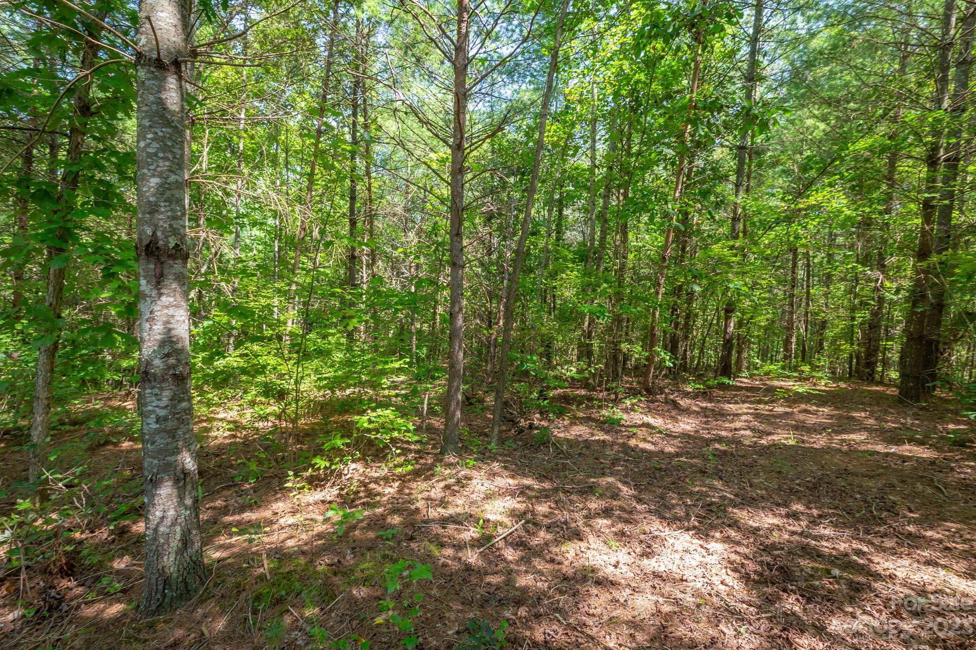 1119 Greene Court Morganton NC 28655