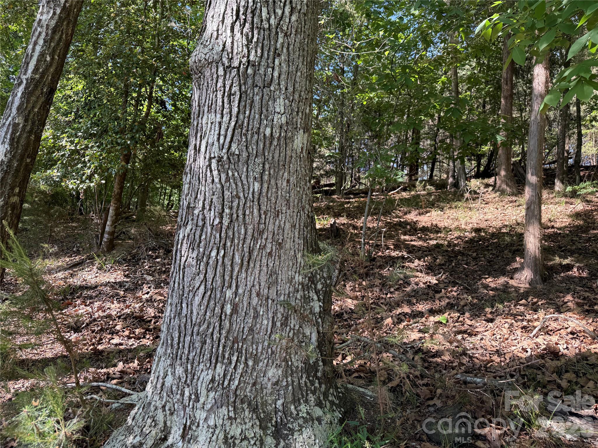 18524 Mainsail Court Lancaster SC 29720