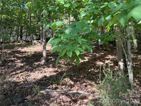 18524 Mainsail Court Lancaster SC 29720