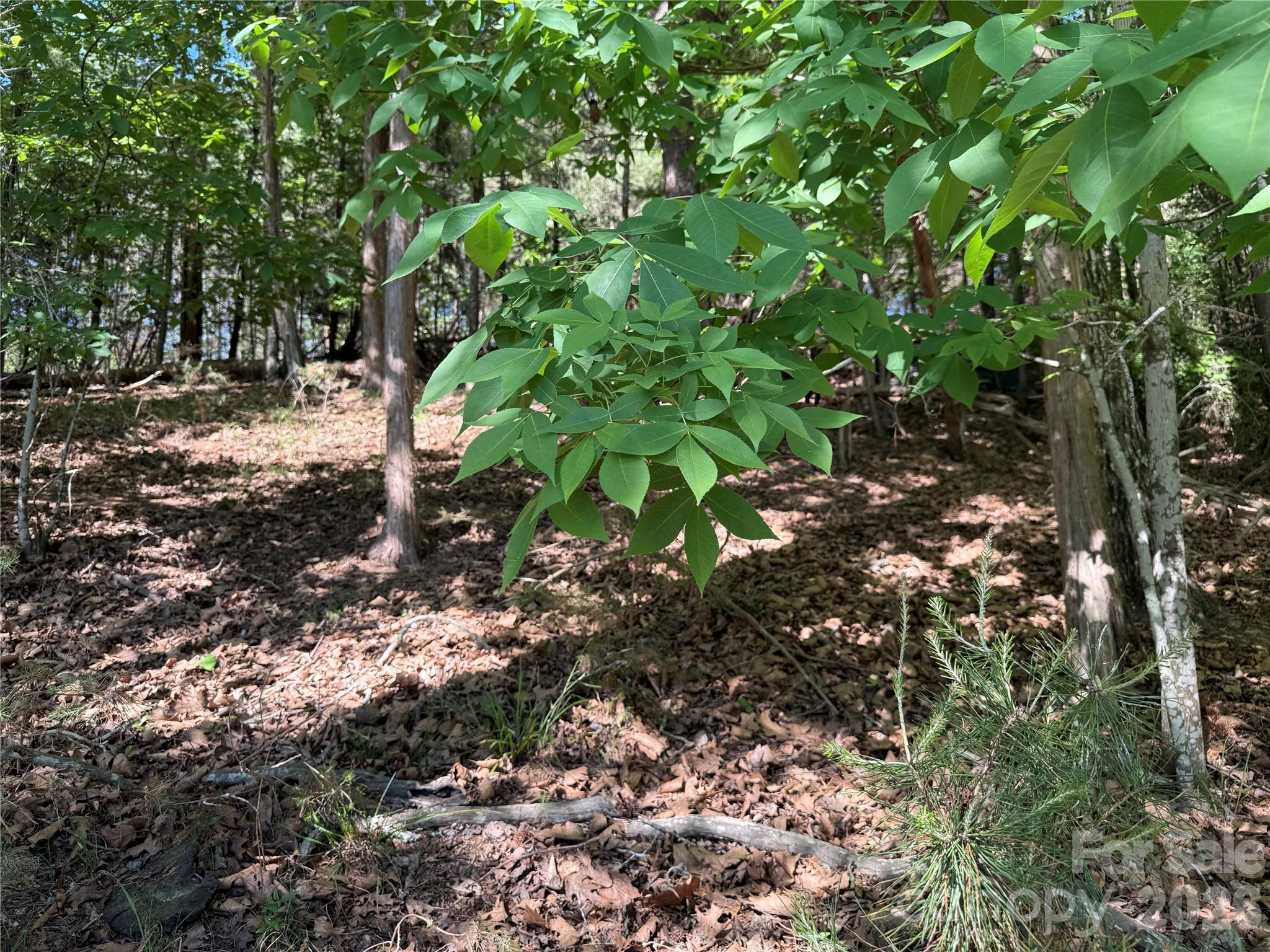 18524 Mainsail Court Lancaster SC 29720
