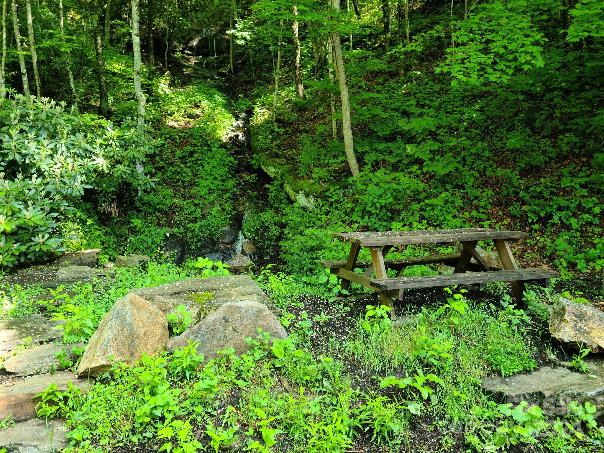 00 Rising Sun Road Waynesville NC 28786