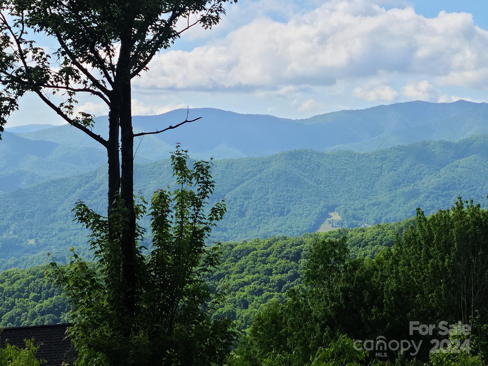 00 Rising Sun Road Waynesville NC 28786