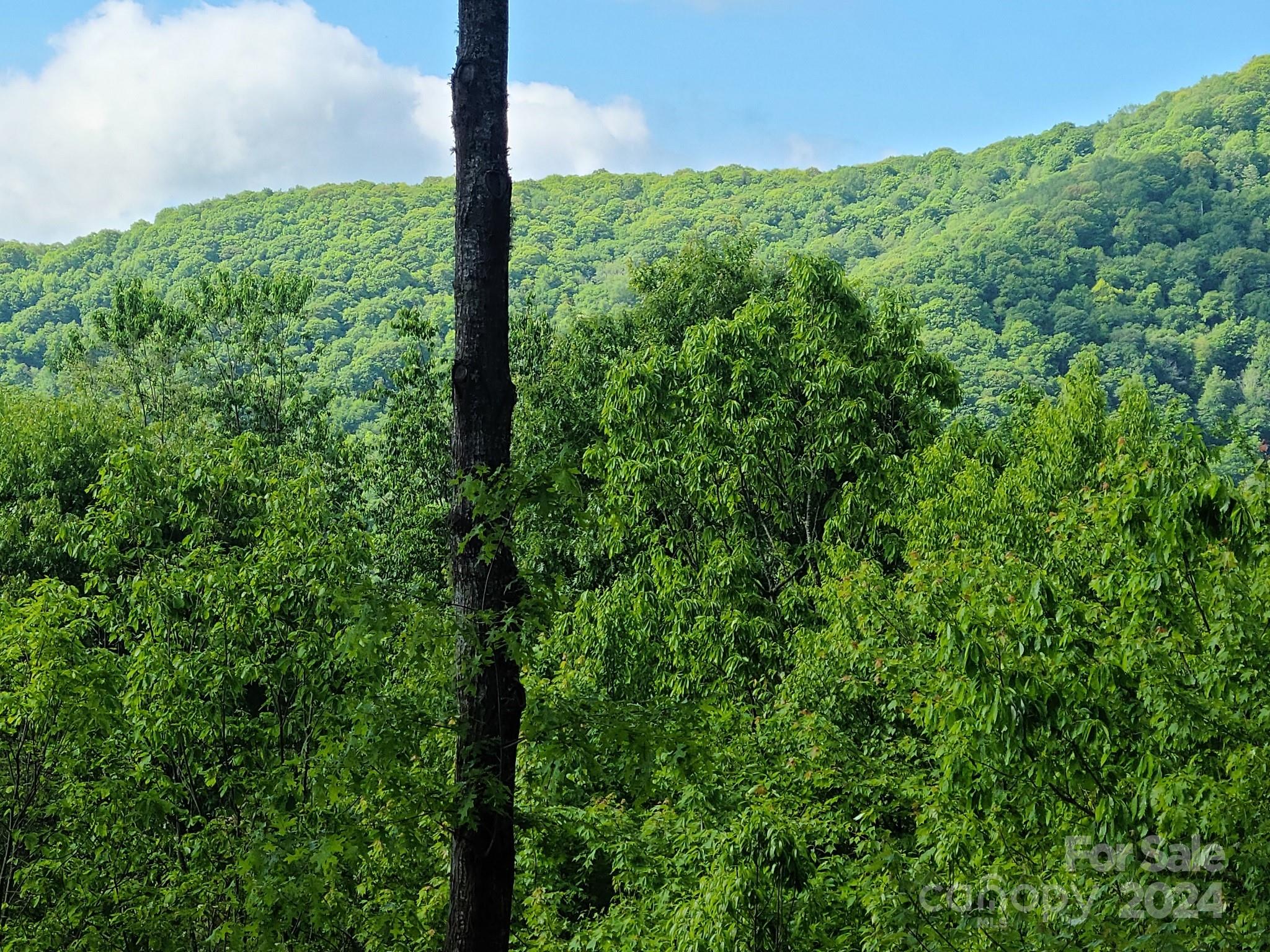 00 Rising Sun Road Waynesville NC 28786