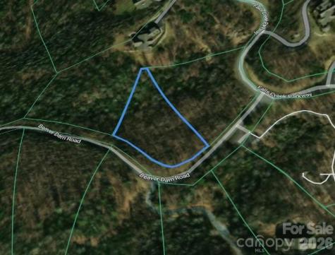 0 Beaver Dam Road Banner Elk NC 28604