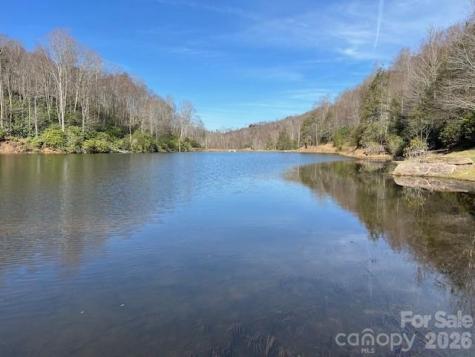 0 Beaver Dam Road Banner Elk NC 28604