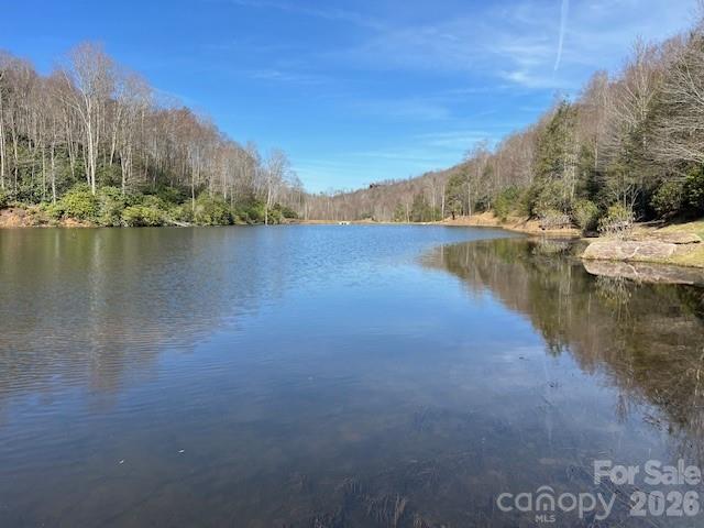 0 Beaver Dam Road Banner Elk NC 28604