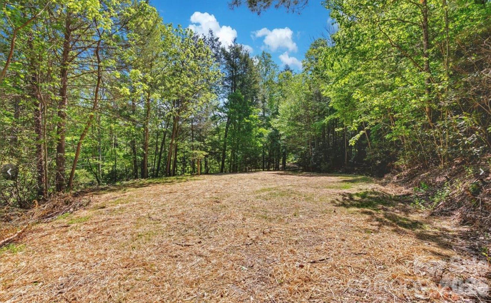 1127 Bee Tree Road Swannanoa NC 28778