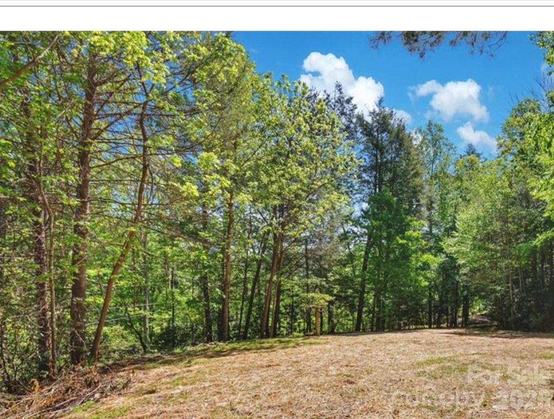 1127 Bee Tree Road Swannanoa NC 28778