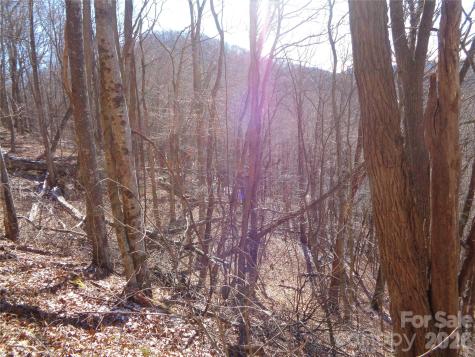 00 Listening Cove Clyde NC 28721