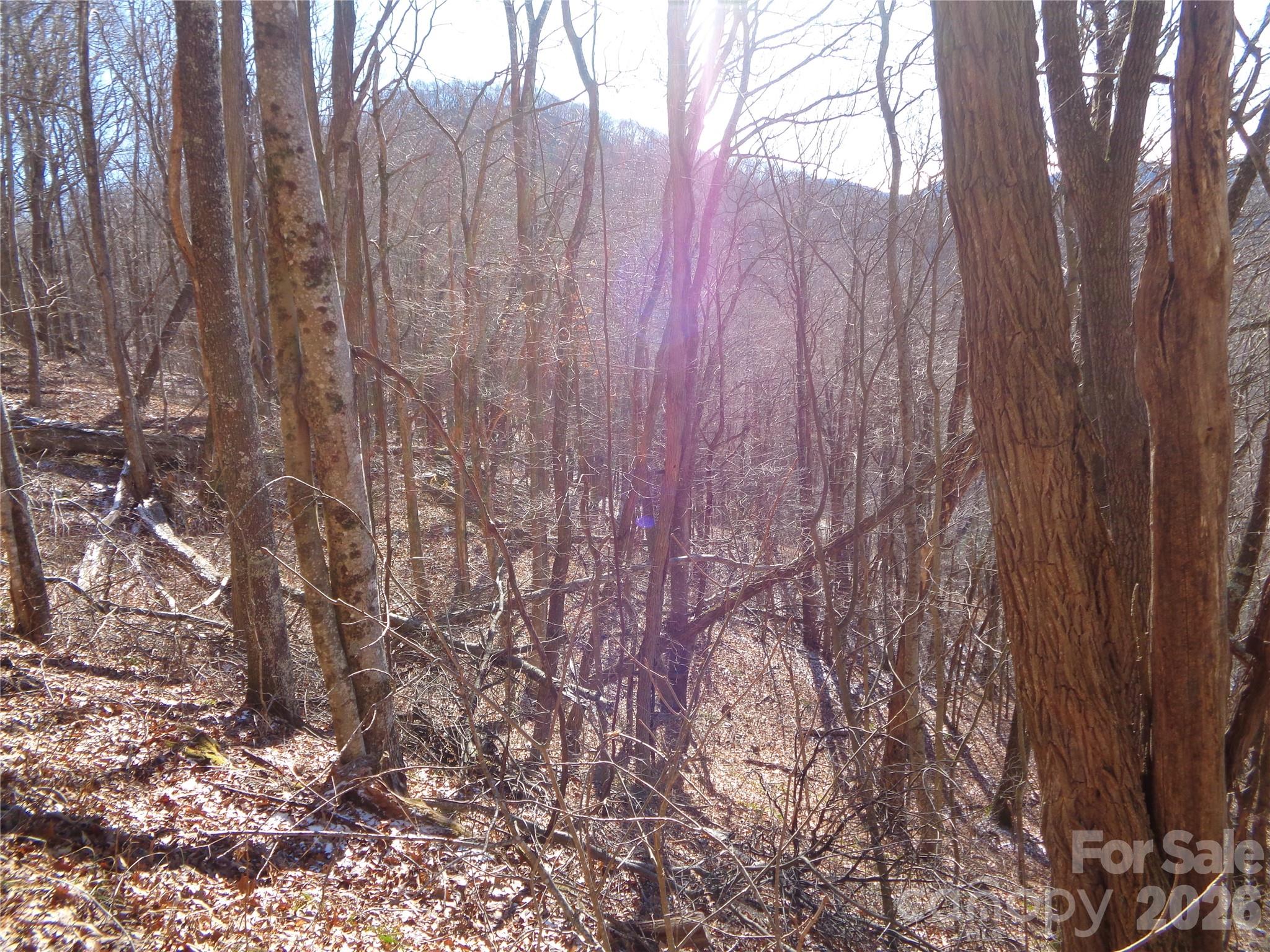 00 Listening Cove Clyde NC 28721