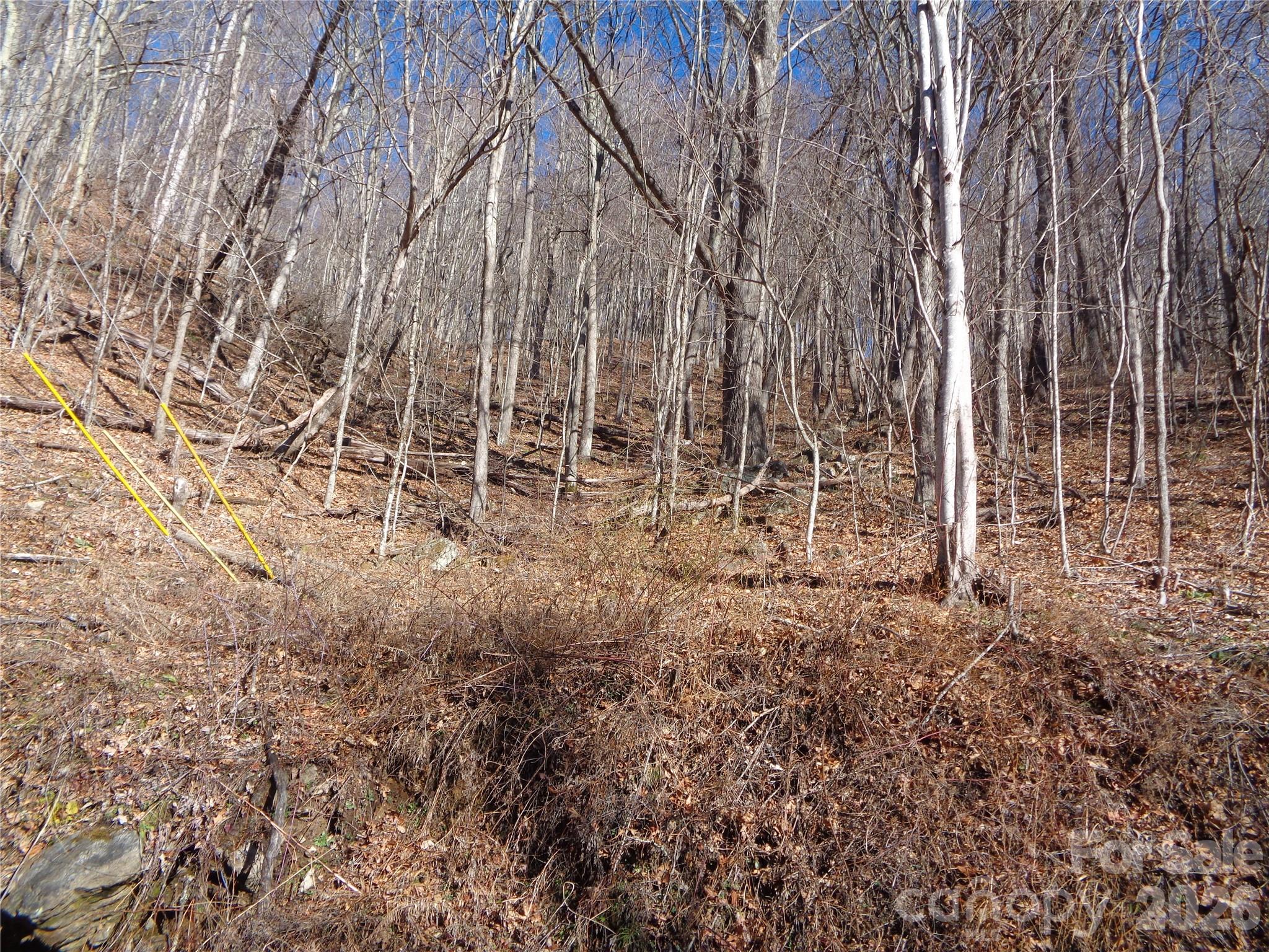 00 Listening Cove Clyde NC 28721