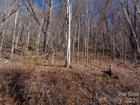 00 Listening Cove Clyde NC 28721