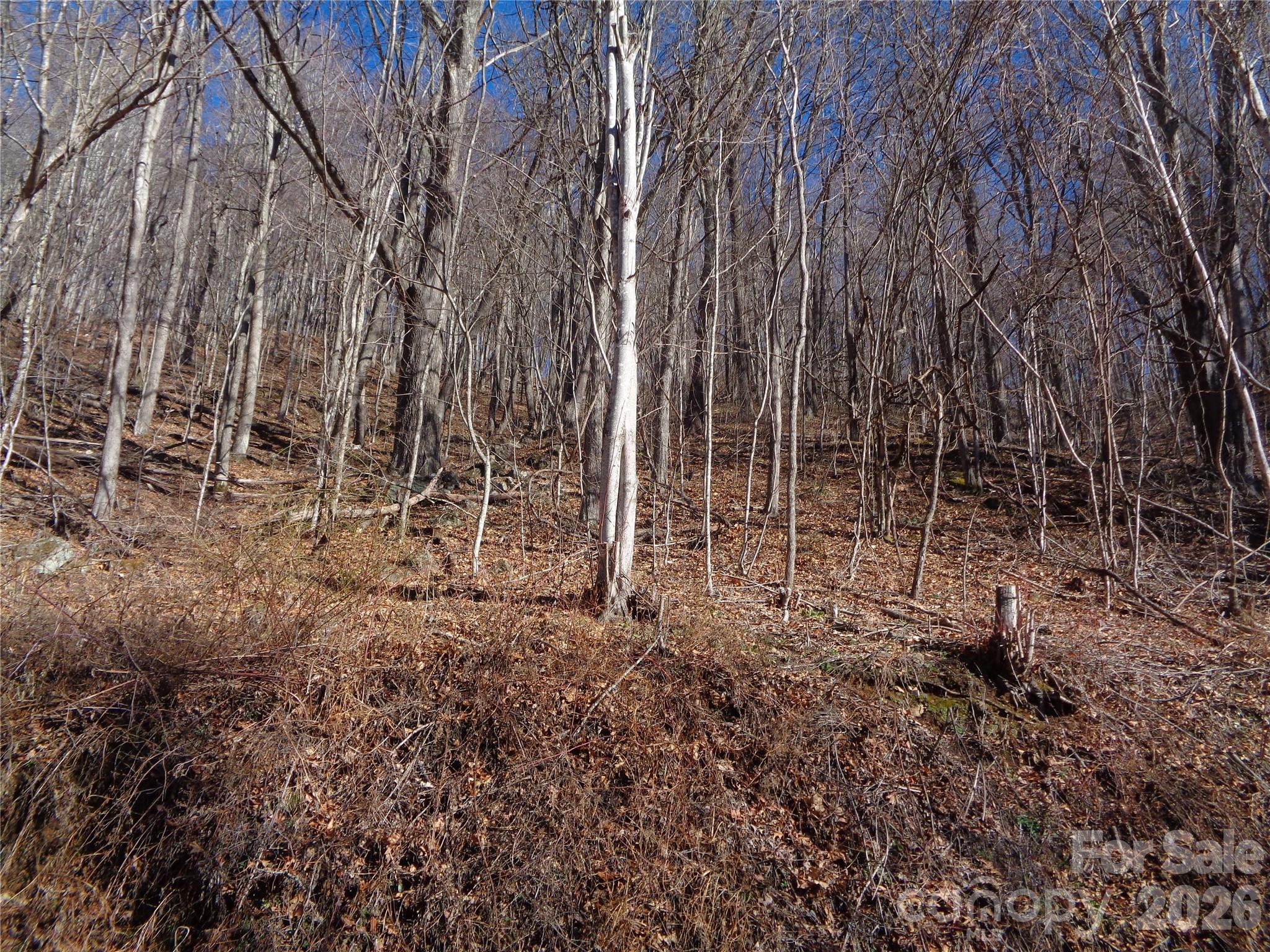 00 Listening Cove Clyde NC 28721
