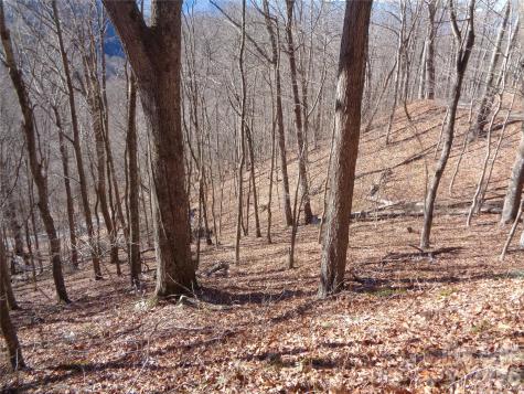 00 Listening Cove Clyde NC 28721