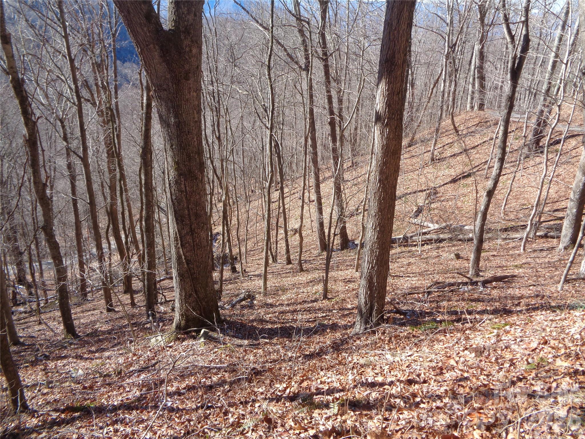 00 Listening Cove Clyde NC 28721