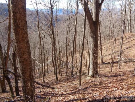 00 Listening Cove Clyde NC 28721
