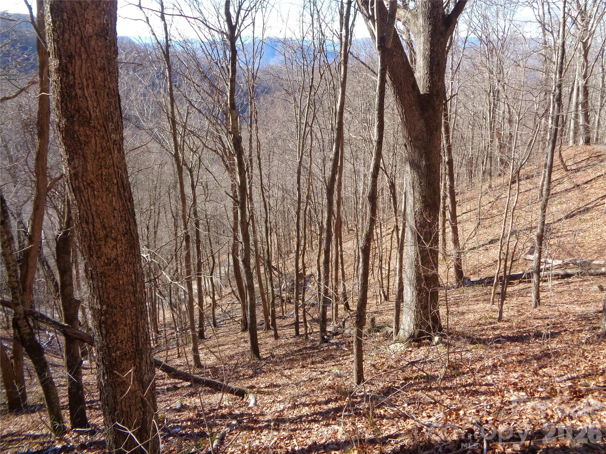 00 Listening Cove Clyde NC 28721