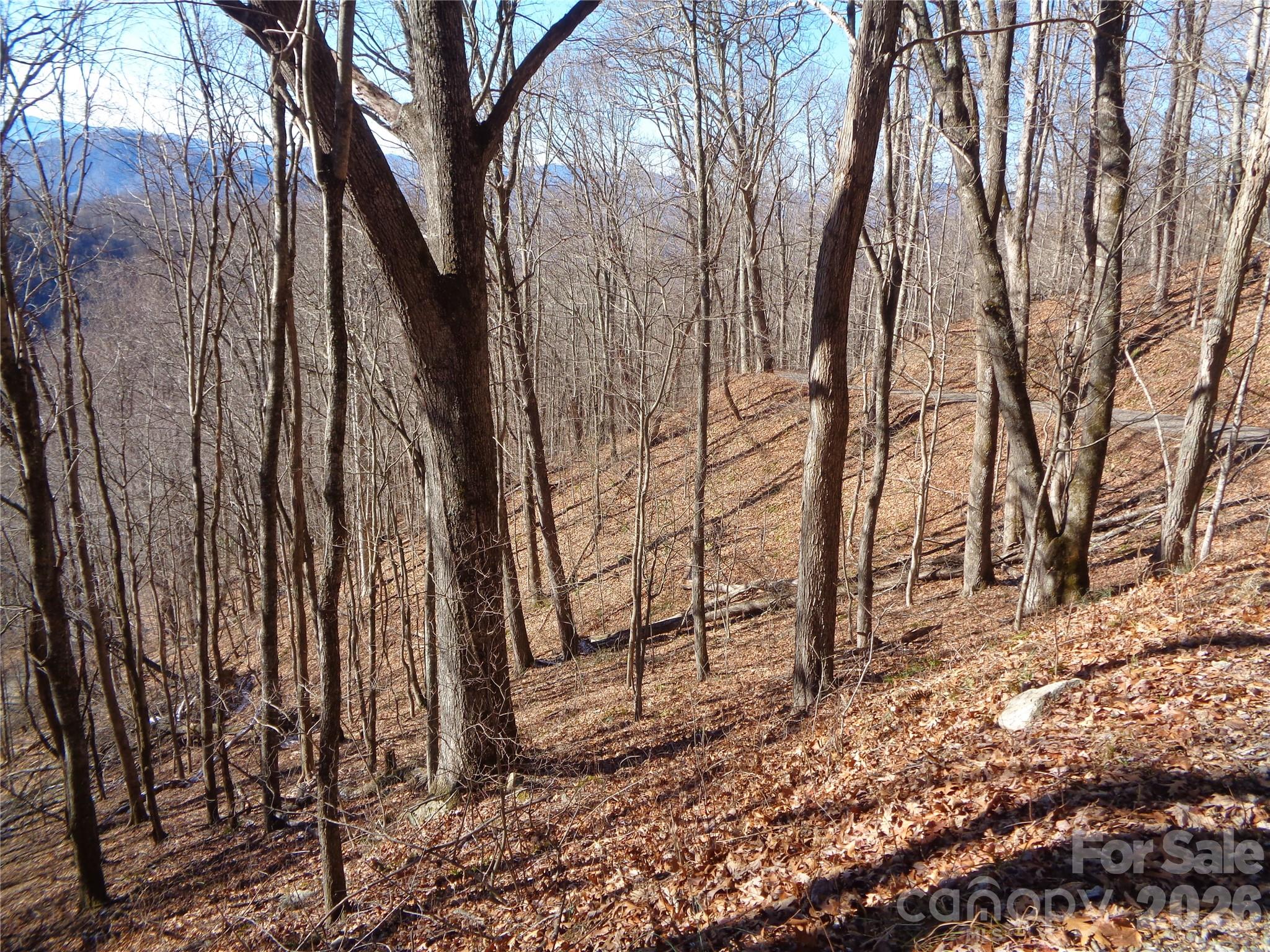 00 Listening Cove Clyde NC 28721