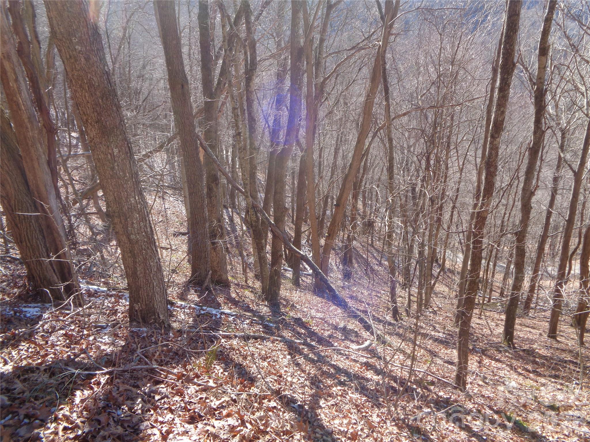 00 Listening Cove Clyde NC 28721