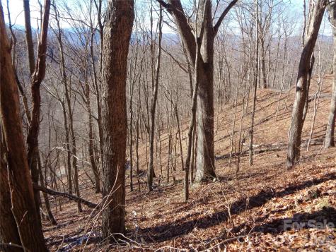 00 Listening Cove Clyde NC 28721