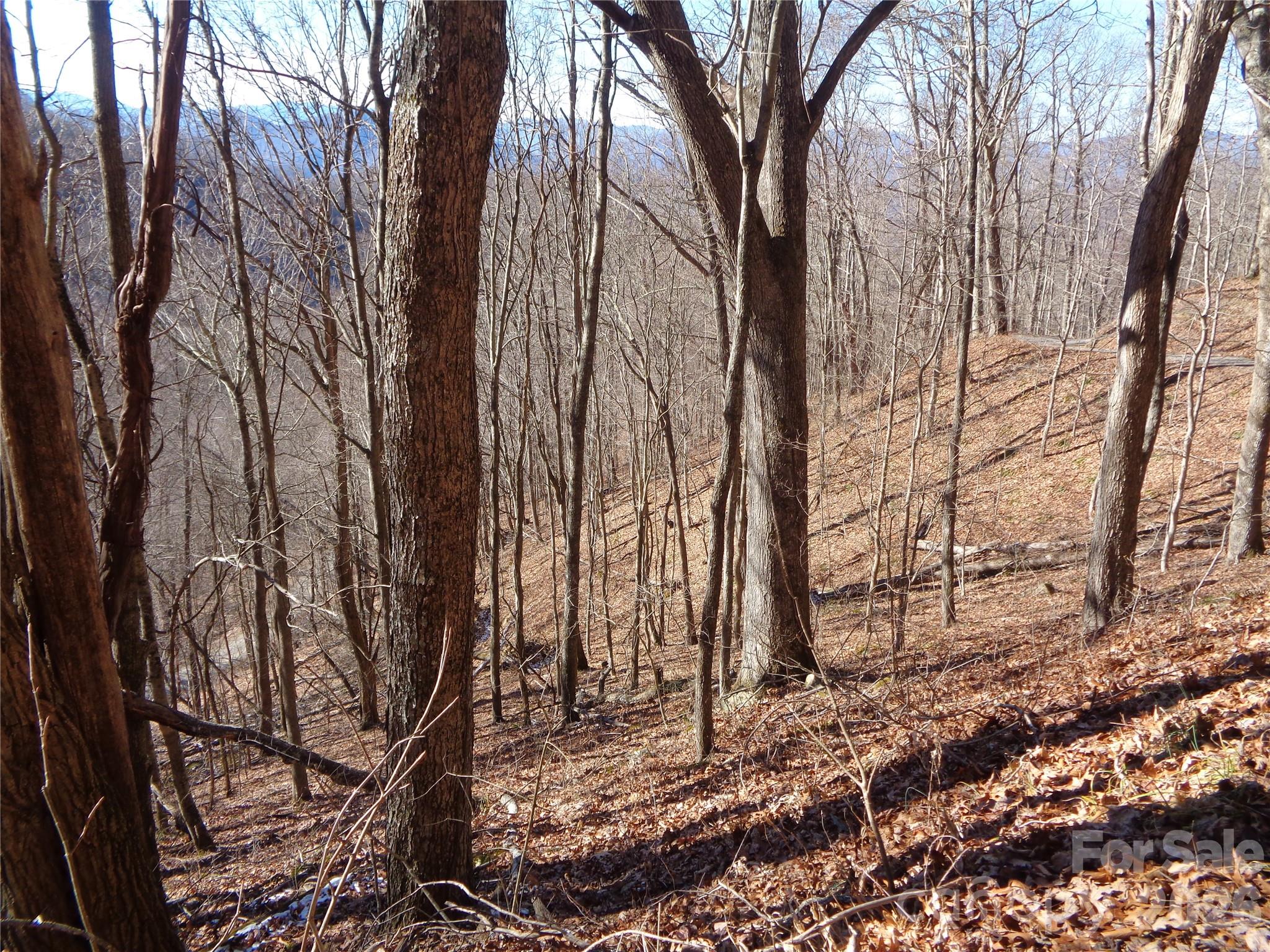 00 Listening Cove Clyde NC 28721