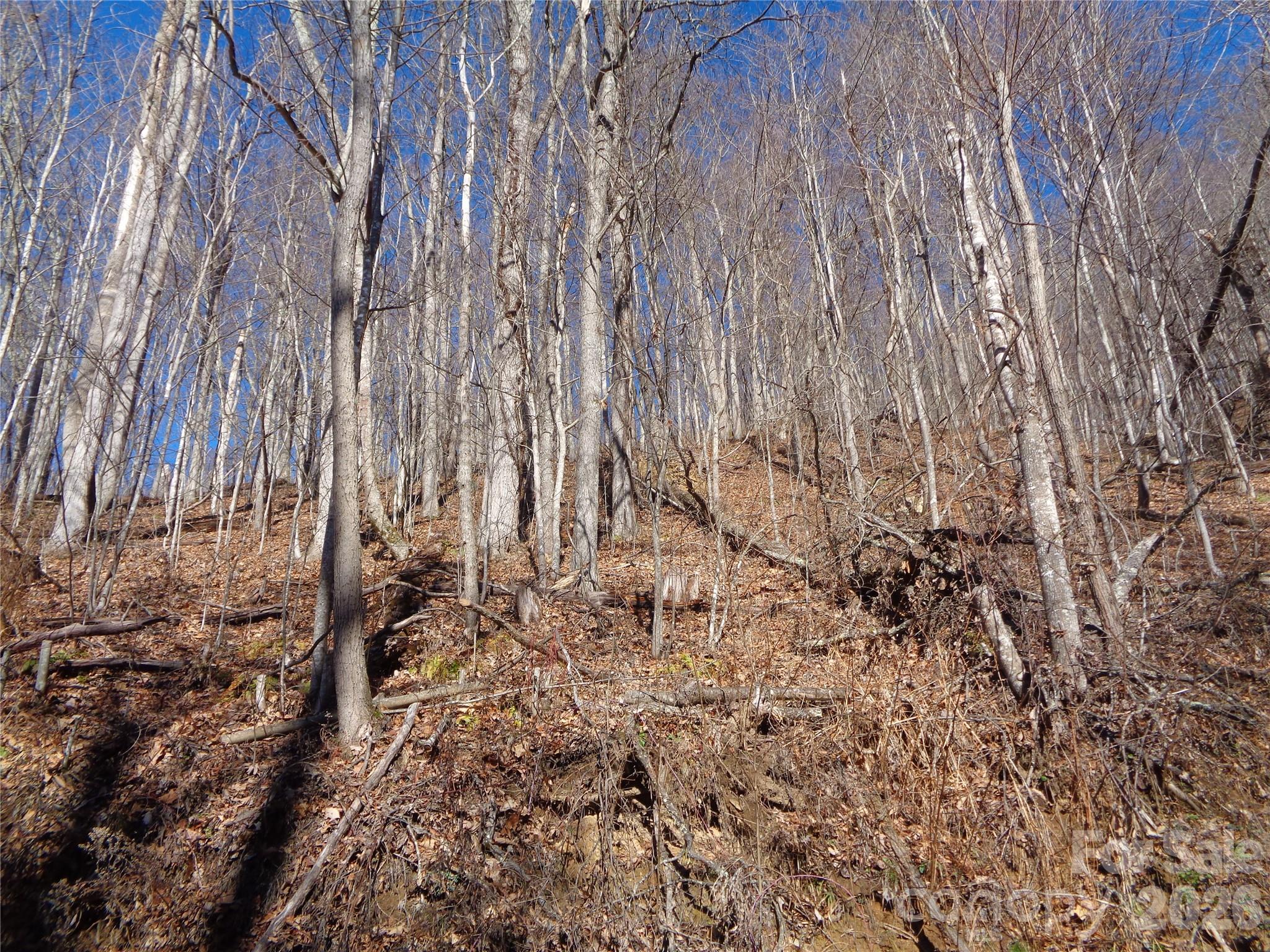 00 Listening Cove Clyde NC 28721